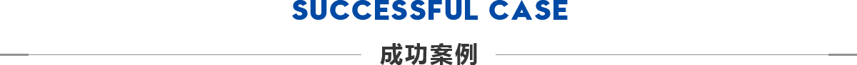 成功案例